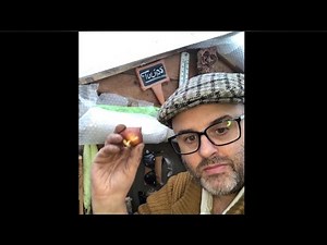 A total guide on how to plant tulip bulbs - including squirrel proofing and over planting #gardening