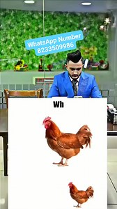 99K views · 3.2K reactions | Complete ✅✅ challenge gift iPhone 14 Pro Max ultra watch iPad 3 item milega gift | Zam Zam Electronics Mobile Shop | Facebook