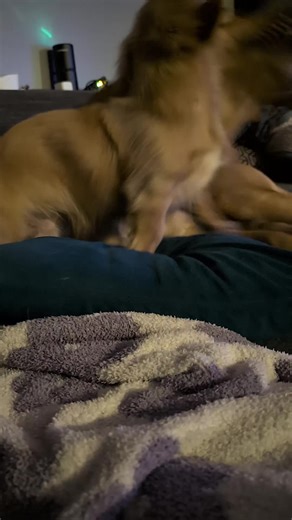 summer knight (@summer.knight26)’s videos with EXCUSE ME, IT’S BEEN 5 MINUTES AND I’M STILL WAITING! - VOISTA STUDIO