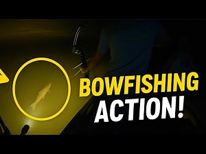 We Tried Bowfishing at Night for the First Time… CRAZY Results!