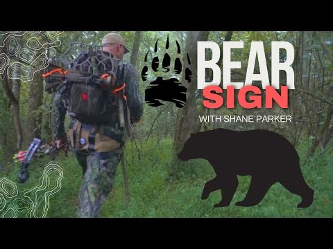 BEAR SIGN with Shane Parker