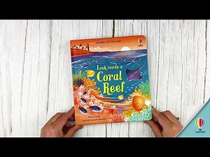 Look Inside a Coral Reef