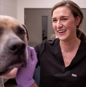 21 reactions | Auburn Vet Med is offering practical, hands-on continuing education for veterinary technicians and assistants at our 2022 Annual Conference. Explore the small group CE courses offered this year that are specifically focused on topics of interest for veterinary technicians and assistants and take advantage of early bird registration rates today: aub.ie/TechCE | Auburn University College of Veterinary Medicine | Facebook