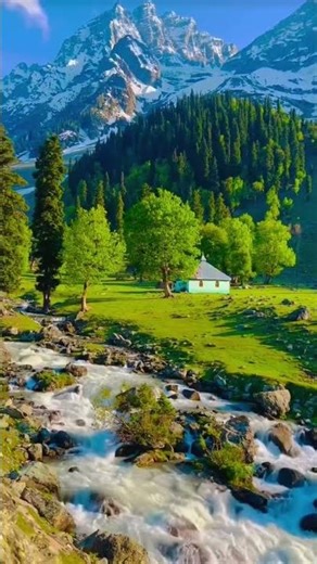 Beauty of the nature 🍃❤️‍🩹 #naturelovers #naturelovers