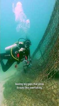 The High Seas: Earth's Vast Unknown