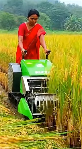 Empowering Farmers with Smart Rice Harvester Boost Your Yield Today #farming #agriculture #harvest