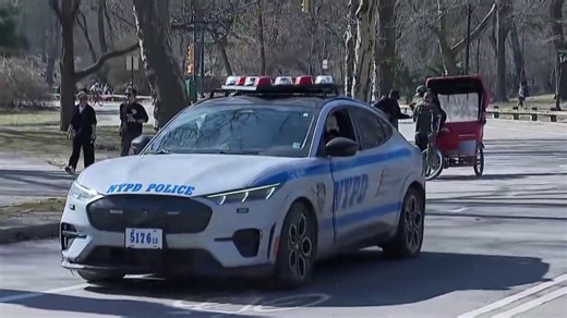 Central Park food vendor slashed in apparent fight over territory, sources say