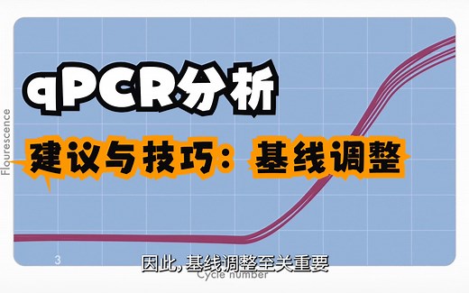 qPCR 分析 建议与技巧: 基线调整