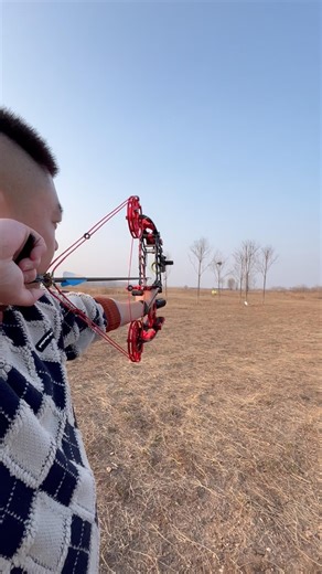 Arrow & Steel Ball Dual-Purpose Compound Bow #archery #fypシ #fyp #outdoors #tools #sports #hunting