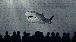 Watch BuzzFeed Unsolved: True Crime Season 5 Episode 2 - The Unusual Australian Shark Arm Murders