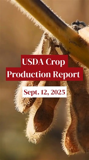2.1K views |  ICYMI: USDA’s Friday report pegged 2025/26 U.S. corn production higher month-over-month, defying trade expectations. ⚠️ Yields were cut, but planted + harvested acres were bumped up. Here are the details.  #USDA #WASDE #Corn #AgMarkets #GrainMarkets #CropReports #FarmEconomy | Successful Farming | Facebook