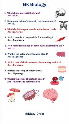 General Knowledge | Quetions and Answers GK | Education learning