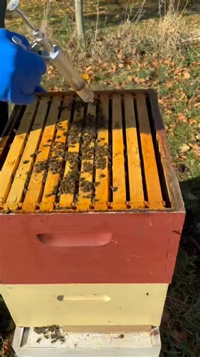 This is a great video showing how to apply oxalic acid dribble to your hives. From now through December, it’s a good time to do this mite treatment while your hives are broodless. | Knox County Beekeepers' Association | Facebook
