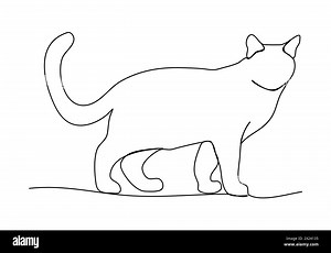 Cat. One line drawing animation, video clip with alpha channel Stock Vector Image & Art - Alamy
