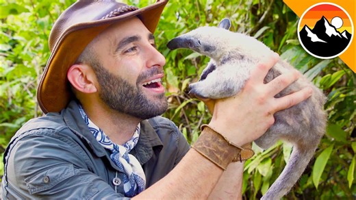 Mr. Bean tries a termite breakfast
