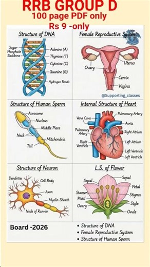 RRB group d #rrb mcqs#rrb practice pdf