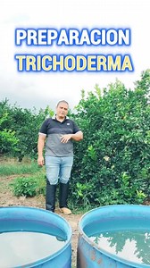 Preparación y uso del Trichoderma Alimento. Consigue este increíble producto con nosotros. #plantas #Agricultura #hongos #cultivos #ORGANICA #naturaleza #reelsfb | El Guardabosques