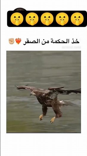 ٩ نوفمبر ٢٠٢٥