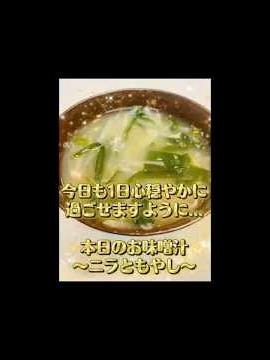 ✨本日のお味噌汁✨〜ニラともやし〜 #料理 #簡単レシピ #おうちごはん #朝ご飯