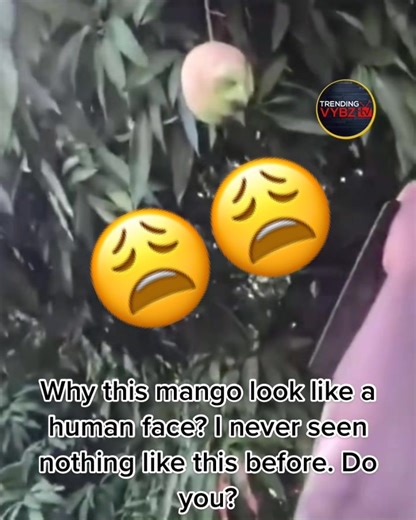 Mango Face Meme Revealed | Unbelievable Resemblance