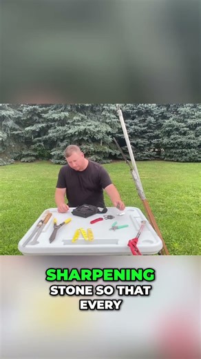 Tree Work Essentials: Keep Your Tools Sharp & Clean! #shorts