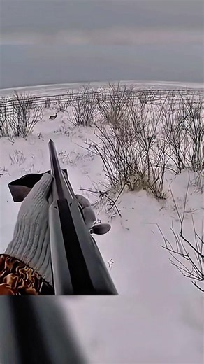 Fast rabbit, steady hands 🐇🔥#RabbitSeason #HuntMode #FieldHunting #OutdoorLife #Deephunt