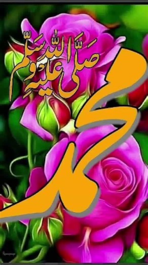 Mohammad Shahzad on TikTok