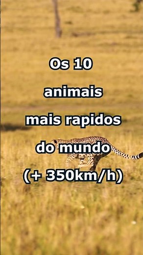 Os 10 Animais Mais Rápidos do Mundo! #top10 #animaismaisrapidos