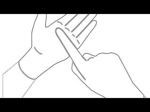 'Lily' in sign language