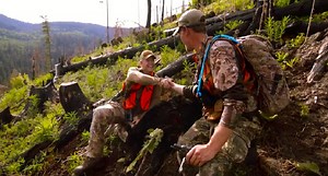 Want to Become a Big Game Hunting Guide? Here's Your Chance