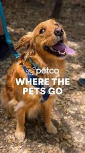 Where the pets go to live their best life since 1965 | Petco