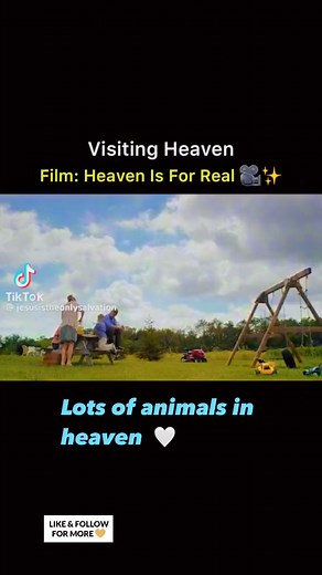 Heaven is Real. #HeavenEncountersToday#Heaven #petsinheaven #reelsfypシ#Reels #ILoveYouJesus | Heaven Encounters Today