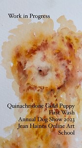 Jean Haines Watercolours on Reels