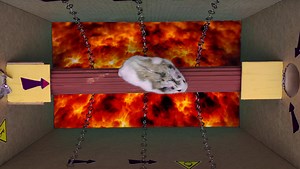 Epic Hamster Maze Is Like AMERICAN NINJA WARRIOR for Rodents