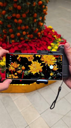 Samsung's telephoto lens delivers maximum resolution and detail