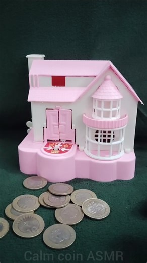 Dog 🐶 House piggy bank 💰# Calm Coin ASMR # satisfying video #relaxing