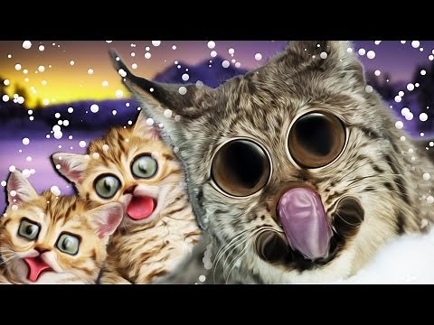 NOT MY BABIES! | Shelter 2