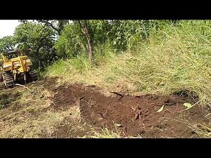 New road construction in forest