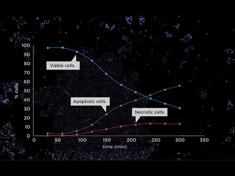 Tecan Spark Cyto the first live cell plate reader with real-time imaging and cytometry