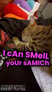 115K views · 4.3K reactions | I know, I know, I'm a musical genius......