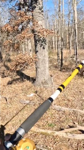 First Time Casting A 10 Ft Rod Rate 1-10🔥💪🏾(SUB‼️)#casting#bankfishing#shorts