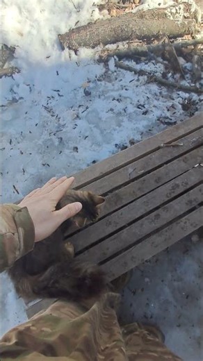 Paratroopers are so tough 😂. #humor #friends #cats #paratroopers #83rd brigade