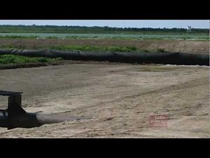 Split Pond Catfish Farming - Arkansas Farm Bureau