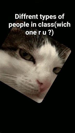 Diferent types of people in class!!!!!#funny#cat memes#shorts