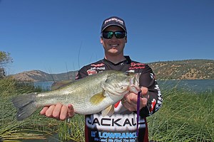 Drop-shot upshot - Major League Fishing