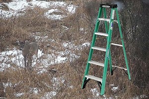 How to Turn a Step Ladder Into a Portable Hunting Stand