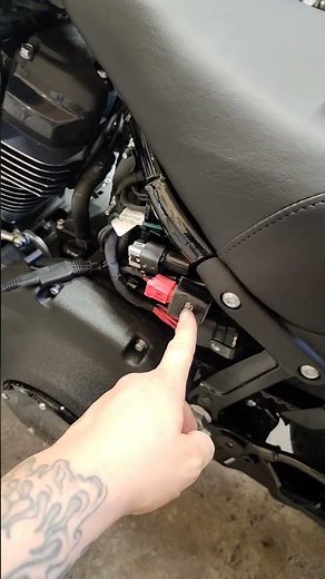 Lowrider ST Creamin Eagle Pro Street Tuner Install