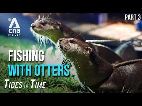 He Fishes With Otters: But Bangladesh's Rising Saltwater Is Killing Them | Tides Of Time - Part 3/3
