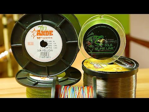 Catfish Line - Everything You Need to Know