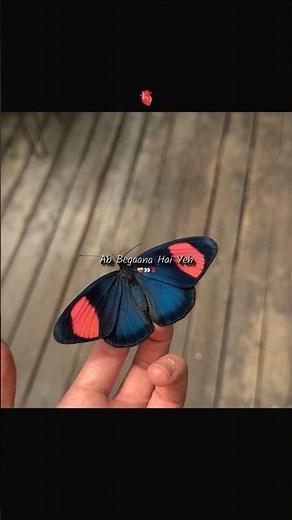 ‎Mann Mera (Video Song) | Table No.21 | Tina Desai & Rajeev Khandelwal